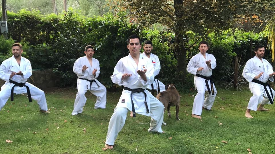 Img